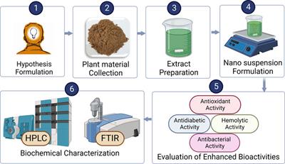 Biochemical, structural characterization and in-vitro evaluation of antioxidant, antibacterial, cytotoxic, and antidiabetic activities of nanosuspensions of Cinnamomum zeylanicum bark extract